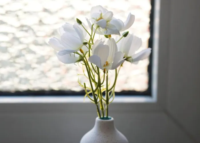 3br - - 10 Min To Ice アパート